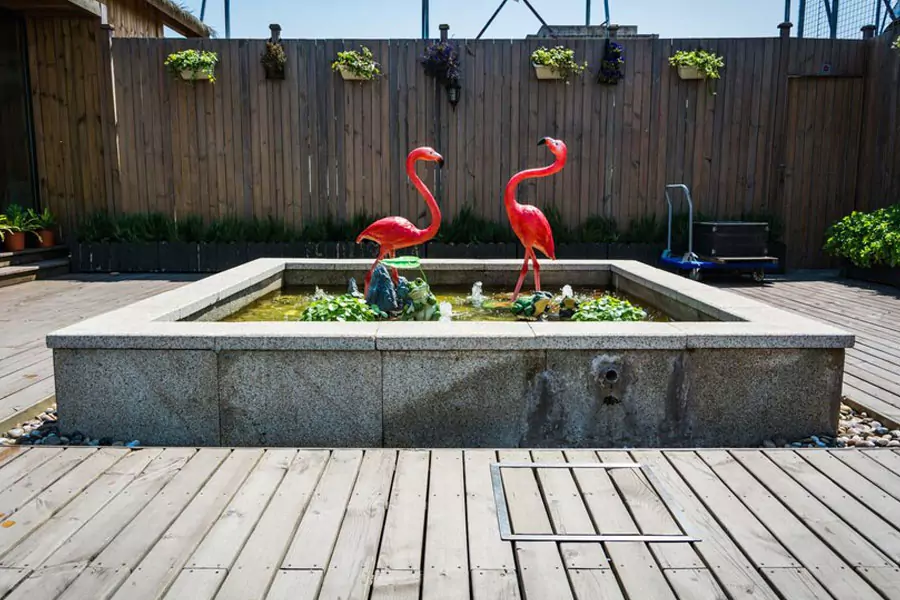 Hardscaping Trends 2025