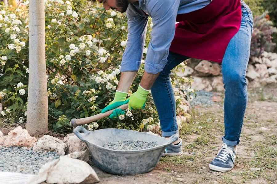 Masterful Construction Inc. blos97 How to Combine Hardscaping and Landscaping for a Balanced, Beautiful Backyard  